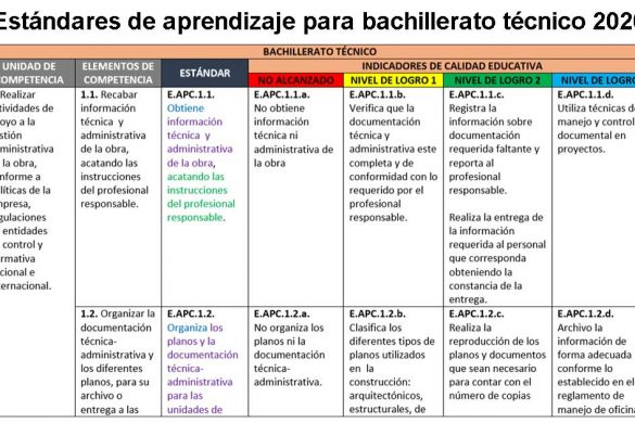 Instructivo y componentes para la observación de clase y reflexión